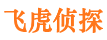 西丰侦探公司